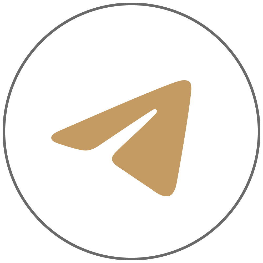Telegram Logo